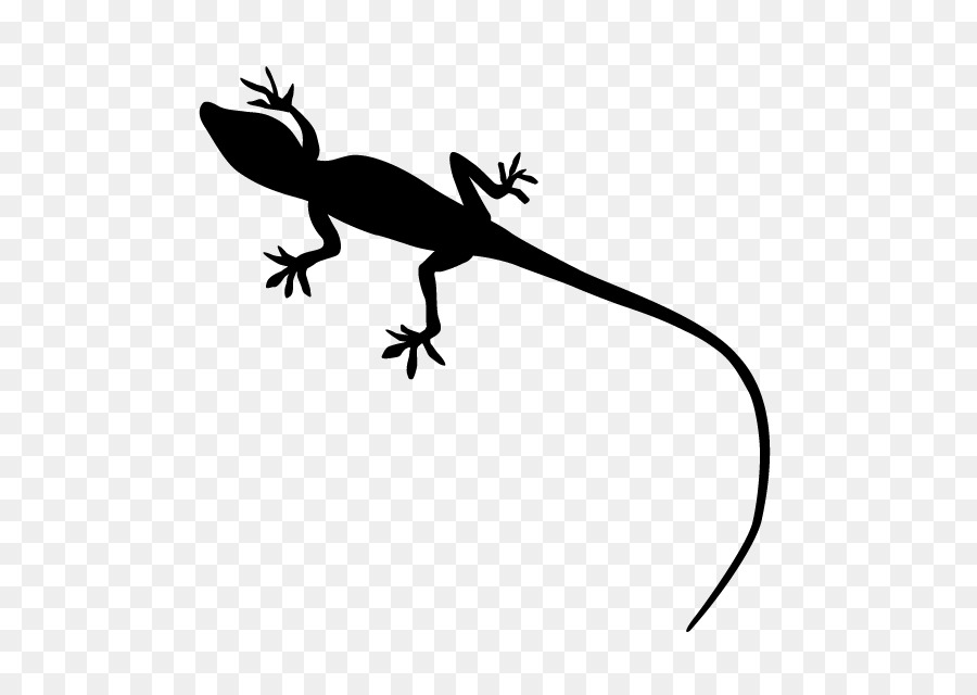 Gecko Lizard Reptile Silhouette - lizard png download - 640*640 - Free Transparent Gecko png Download.