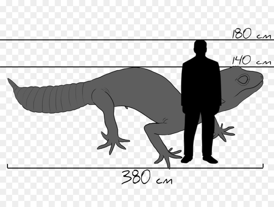 Common leopard gecko Drawing Tyrannosaurus Silhouette - leopard gecko png download - 1024*751 - Free Transparent Gecko png Download.
