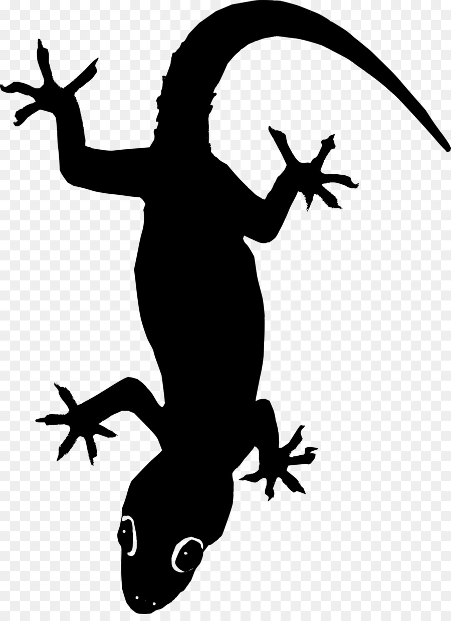 Free Gecko Silhouette, Download Free Gecko Silhouette png images, Free ...