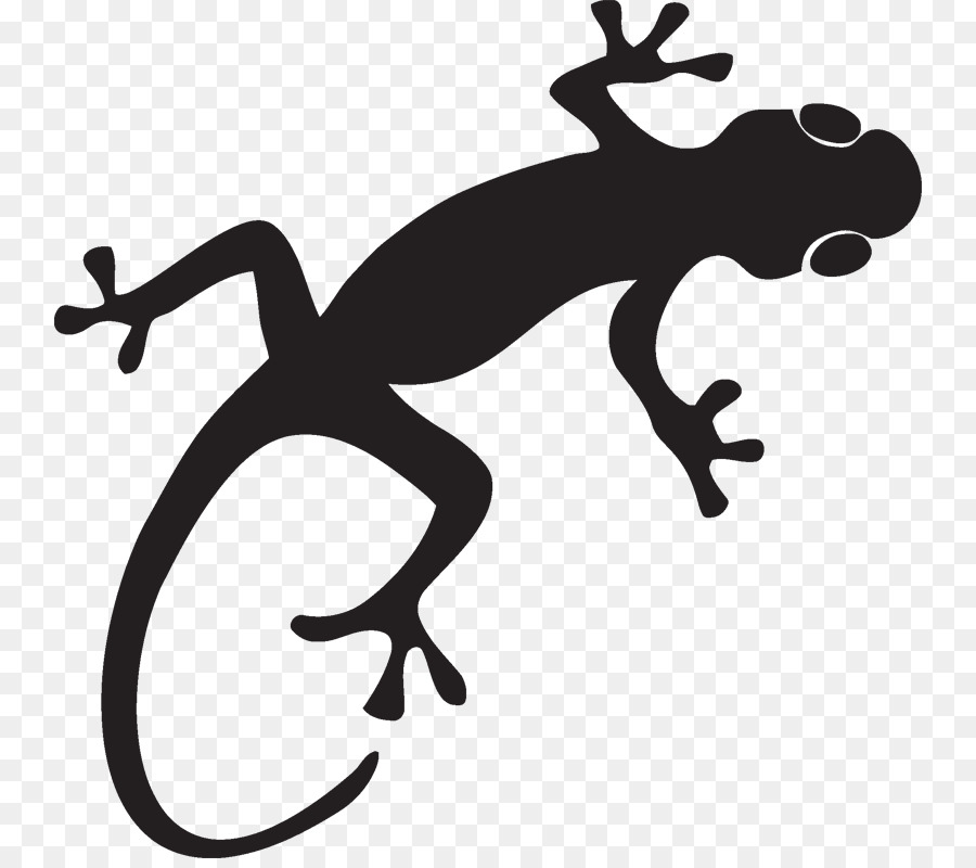 Lizard Gecko Reptile Silhouette - lizard png download - 800*791 - Free Transparent Lizard png Download.