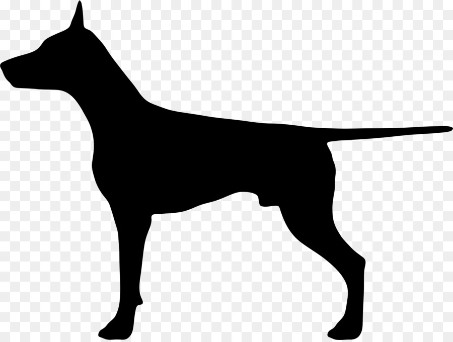 Dobermann German Shepherd Boxer Clip art - german shepherd dog png download - 2264*1701 - Free Transparent Dobermann png Download.