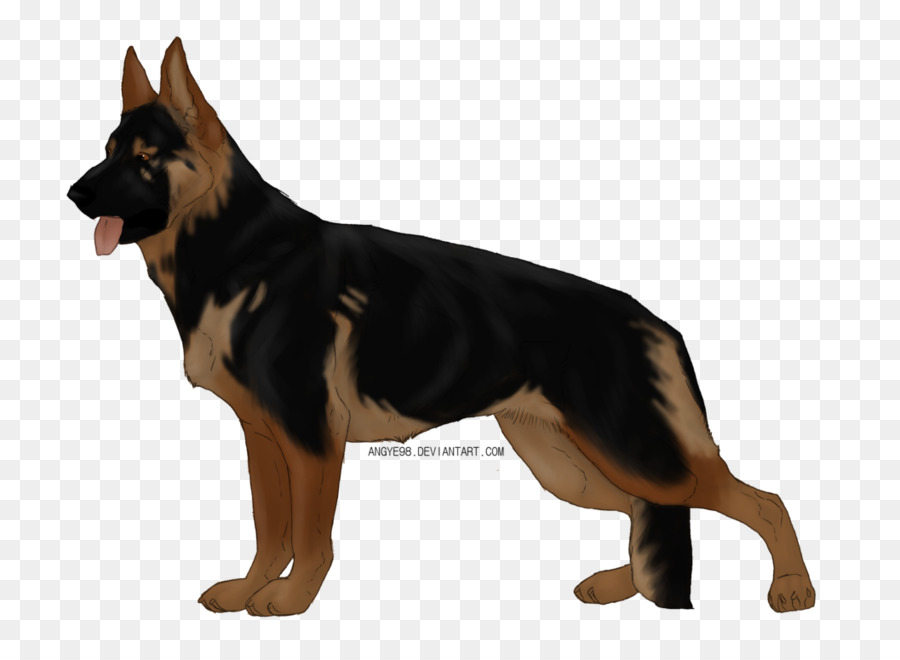 Old German Shepherd Dog Dog breed Malinois dog Puppy - puppy png download - 1057*755 - Free Transparent Old German Shepherd Dog png Download.