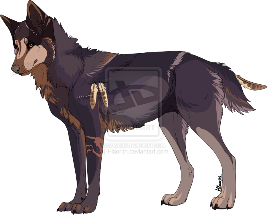 Dog breed Mongolian wolf Fur Snout - Dog png download - 900*726 - Free ...