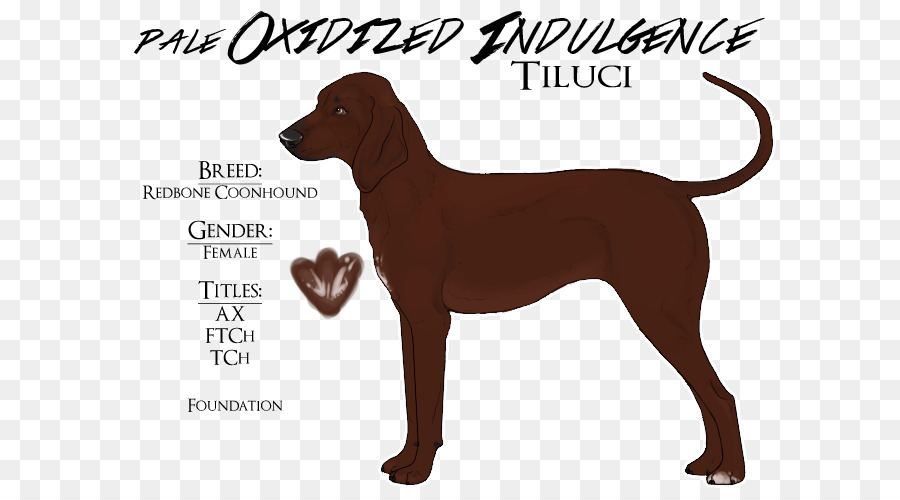 Dog breed German Shorthaired Pointer Dachshund - Redbone Coonhound png download - 665*493 - Free Transparent Dog Breed png Download.