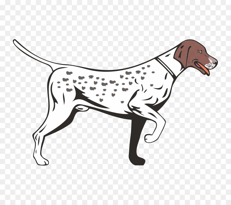 German Shorthaired Pointer German Longhaired Pointer Vizsla German Wirehaired Pointer - others png download - 800*800 - Free Transparent Pointer png Download.