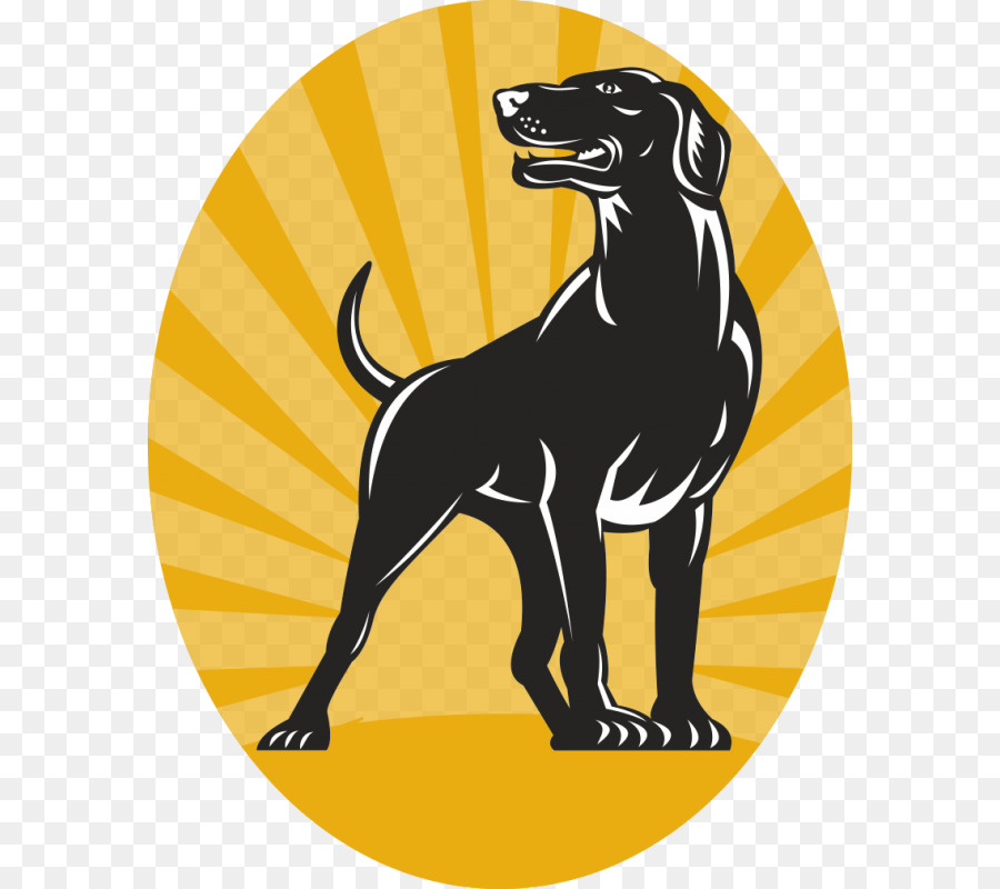 German Shorthaired Pointer German Shepherd Dog training Hunt test - others png download - 800*800 - Free Transparent Pointer png Download.