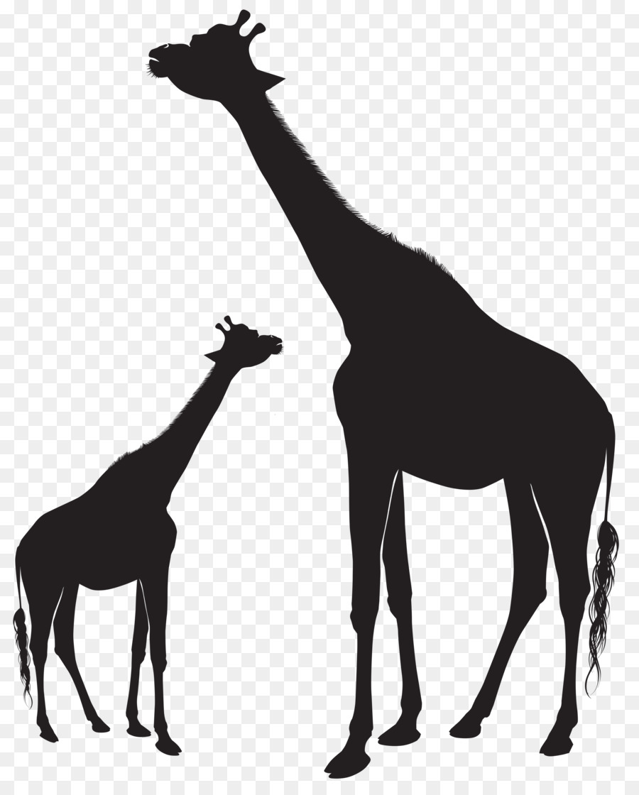 Northern giraffe Silhouette Clip art - giraffe png download - 6495*8000 - Free Transparent Northern Giraffe png Download.