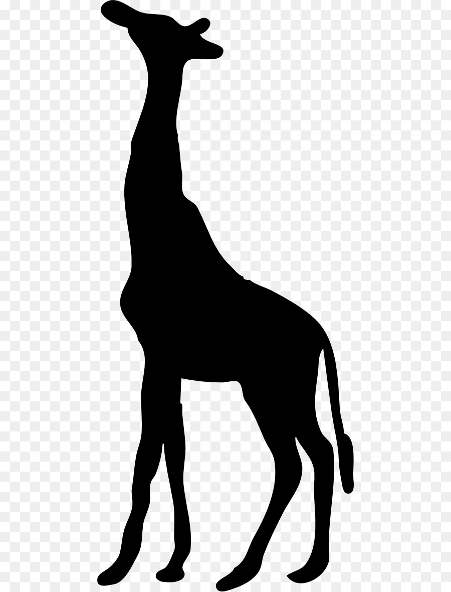 Silhouette Northern giraffe West African giraffe Clip art - contour png download - 512*1179 - Free Transparent Silhouette png Download.