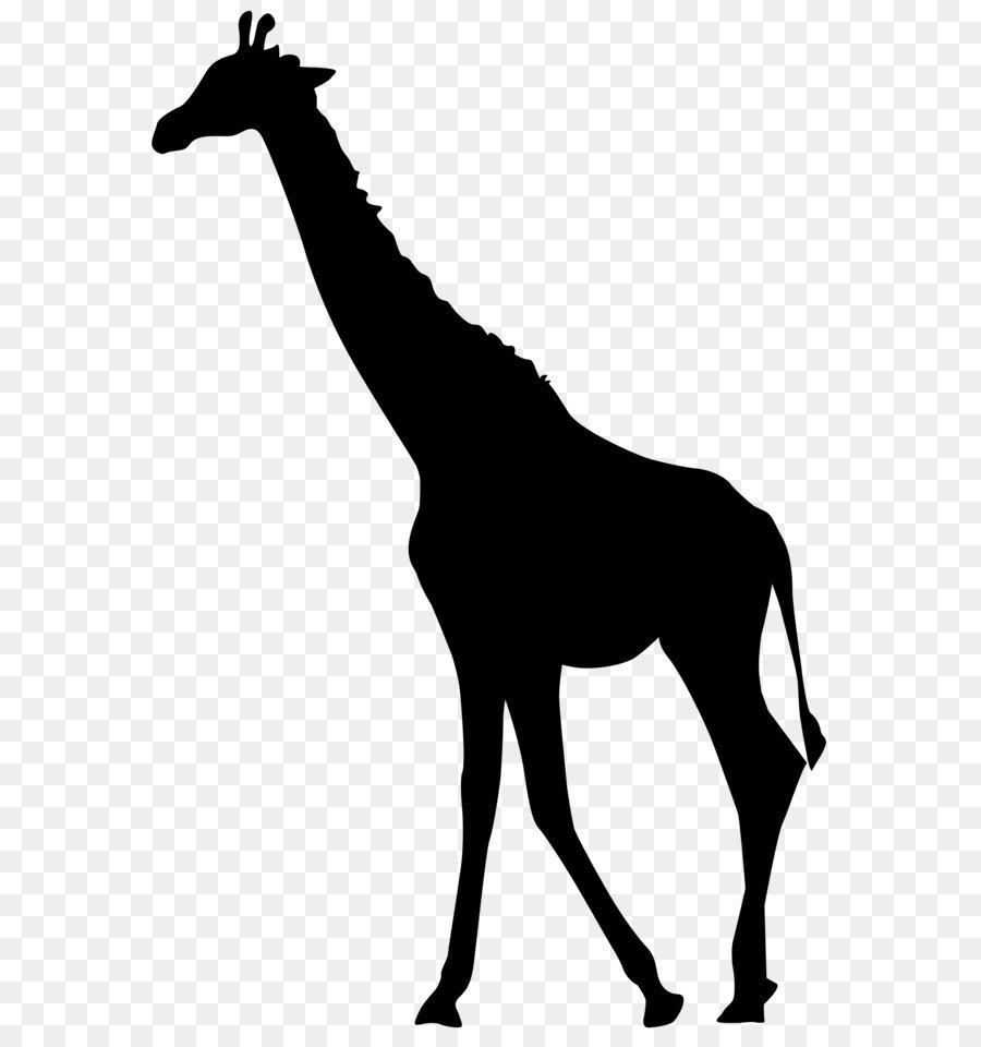 Giraffe Silhouette Drawing Clip art - giraffe png download - 966*2400 ...