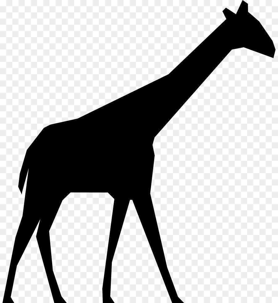 Giraffe Silhouette Clip art - Sillouette Giraffe png download - 655*769 ...
