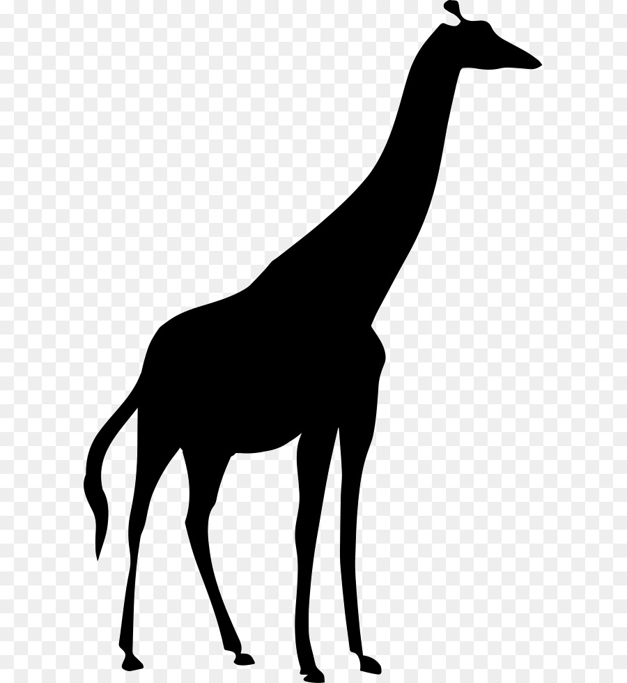 Northern giraffe Image Silhouette Portable Network Graphics Vector graphics - silhouette png download - 659*980 - Free Transparent Northern Giraffe png Download.