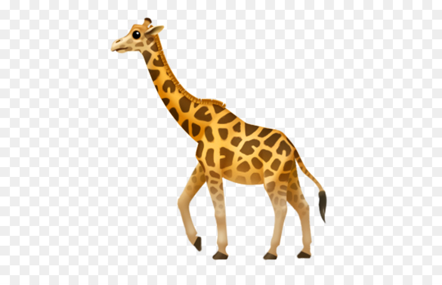 World Emoji Day iPhone Apple - giraffes png download - 571*571 - Free Transparent Emoji png Download.