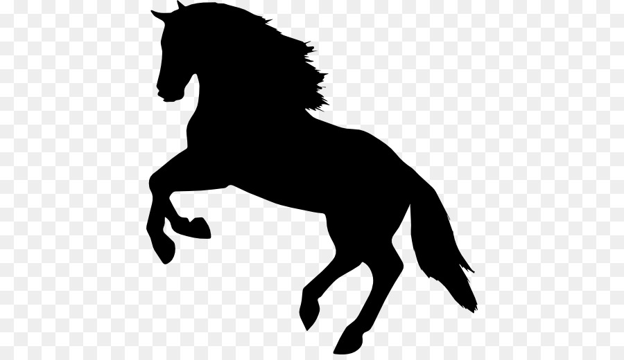 Horse Mare Equestrian Jumping Computer Icons - Horses png download - 512*512 - Free Transparent Horse png Download.
