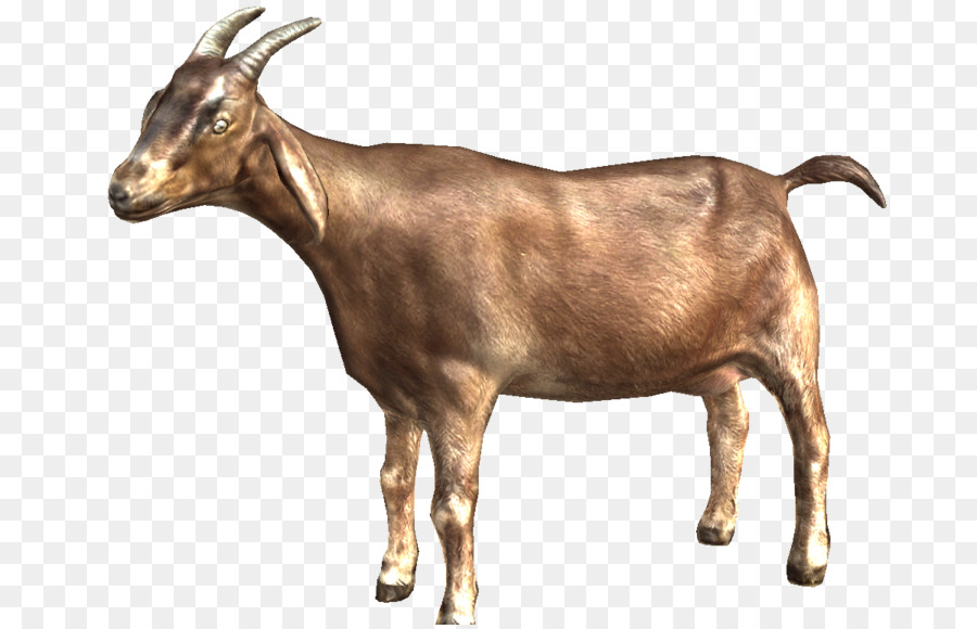 Goat Simulator Portable Network Graphics Clip art Image - goat png download - 1200*768 - Free Transparent Goat png Download.