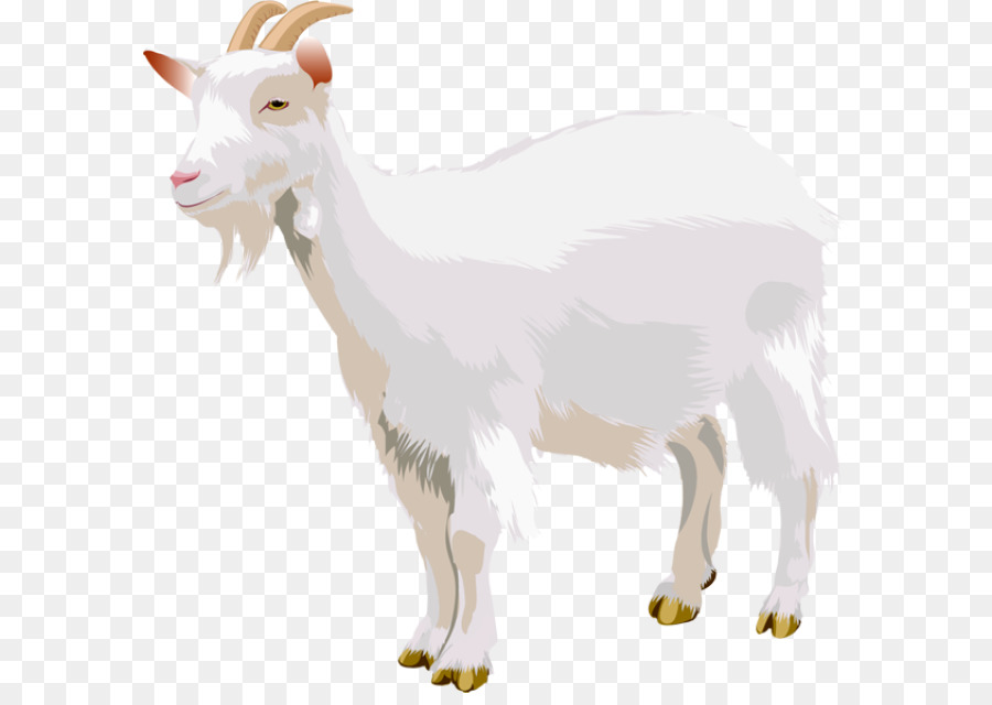 Goat Clip art - Goat PNG png download - 640*629 - Free Transparent Goat png Download.