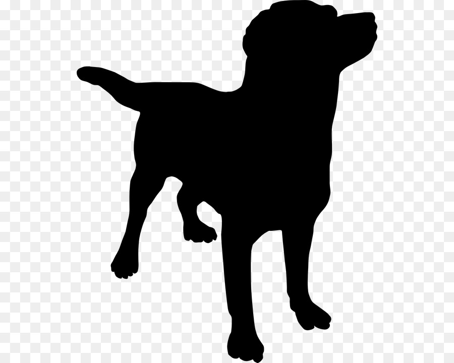 Labrador Retriever Golden Retriever Puppy Clip art - golden retriever png download - 596*720 - Free Transparent Labrador Retriever png Download.