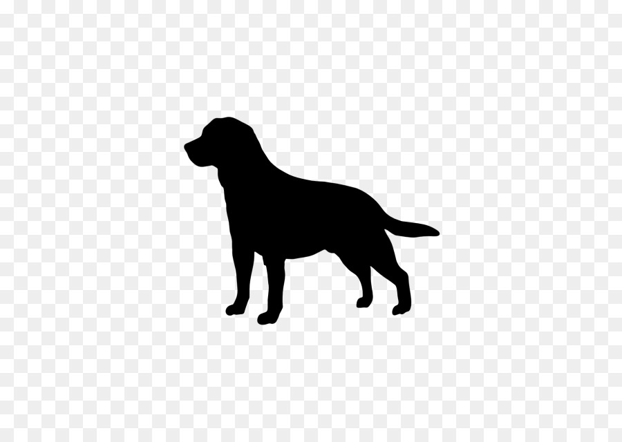 Labrador Retriever Golden Retriever Beagle Clip art - golden retriever png download - 640*640 - Free Transparent Labrador Retriever png Download.