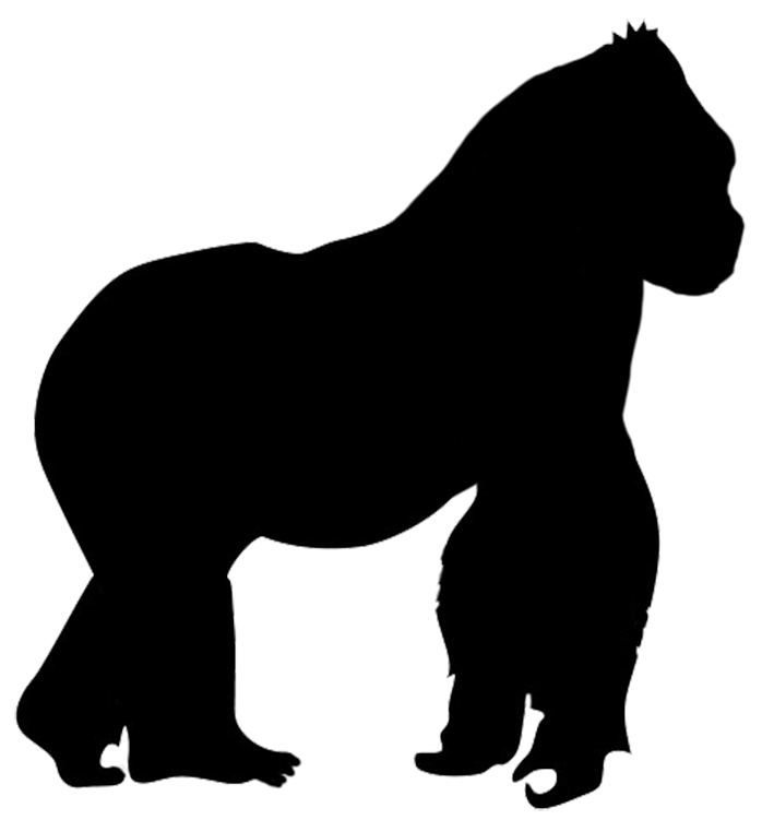 Gorilla Silhouette Clip art - ferret png download - 709*751 - Free ...
