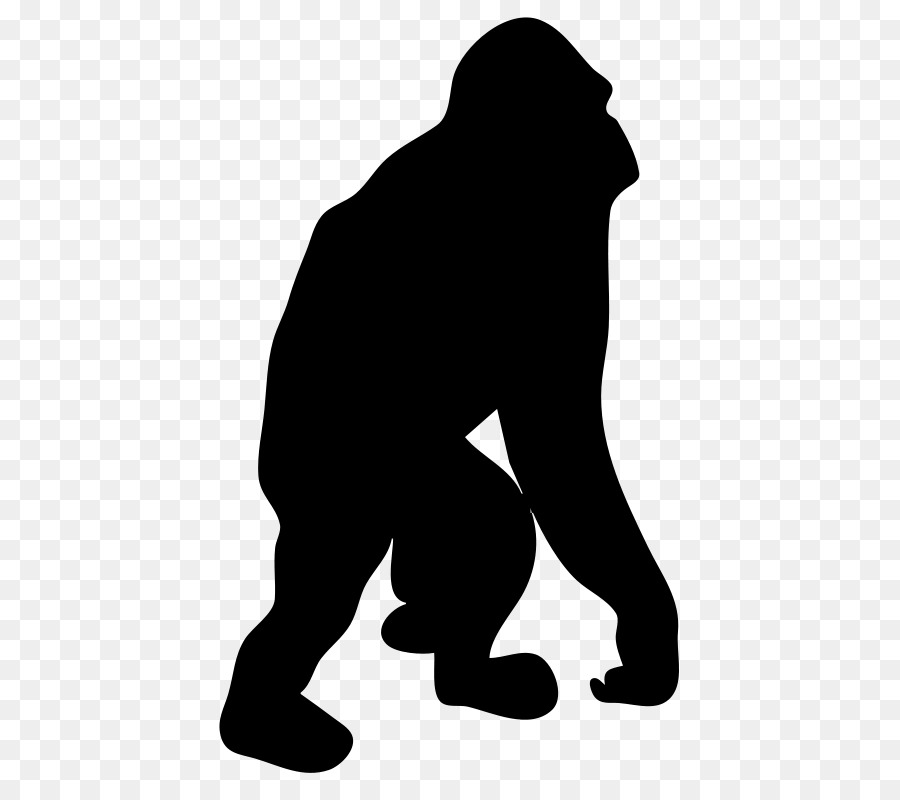 Gorilla Orangutan Silhouette Clip art - gorilla png download - 800*800 - Free Transparent Gorilla png Download.