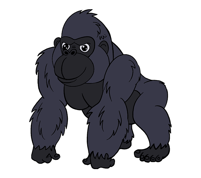 Gorilla Drawing Terk Cartoon - gorilla vector png download - 678*600 ...