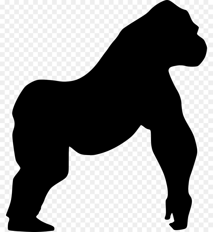 Mountain gorilla Horse Wall decal - gorilla png download - 850*980 - Free Transparent Gorilla png Download.