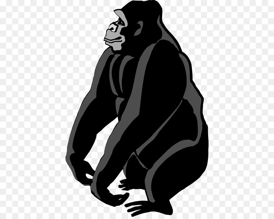 Gorilla Clip art - gorilla png download - 470*713 - Free Transparent Gorilla png Download.