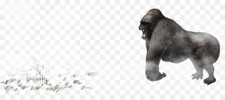 Gorilla Common chimpanzee Icon - King Kong png download - 8400*3564 - Free Transparent Gorilla png Download.
