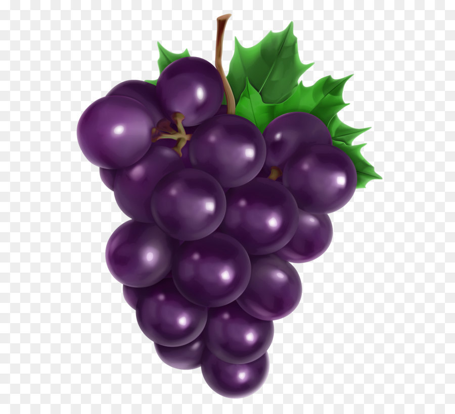 Juice Common Grape Vine Fruit - Transparent Grape PNG Clipart Picture png download - 3596*4520 - Free Transparent Juice png Download.