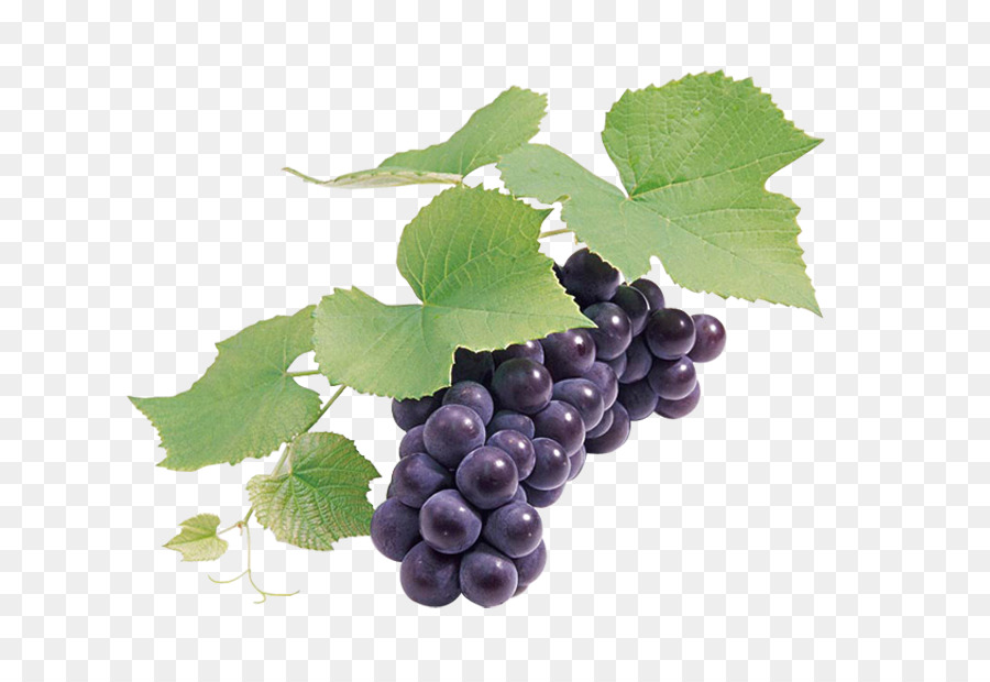 Grape seed extract Wine Grapefruit - Black grapes png download - 776*616 - Free Transparent Grape png Download.