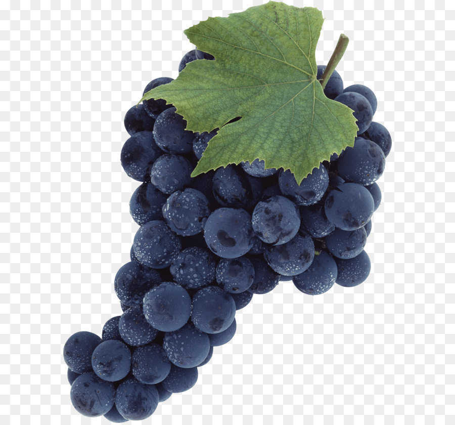 Grape Clip art - Grape Png Image png download - 2520*3242 - Free Transparent Common Grape Vine png Download.