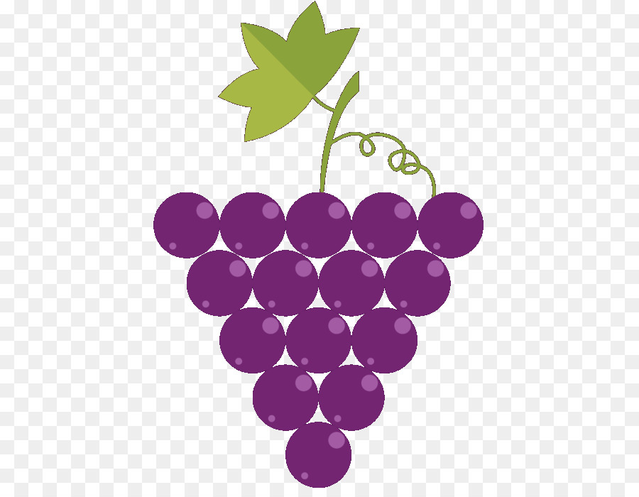 Grape Wine Asti Loazzolo Illustration -  png download - 480*691 - Free Transparent Grape png Download.