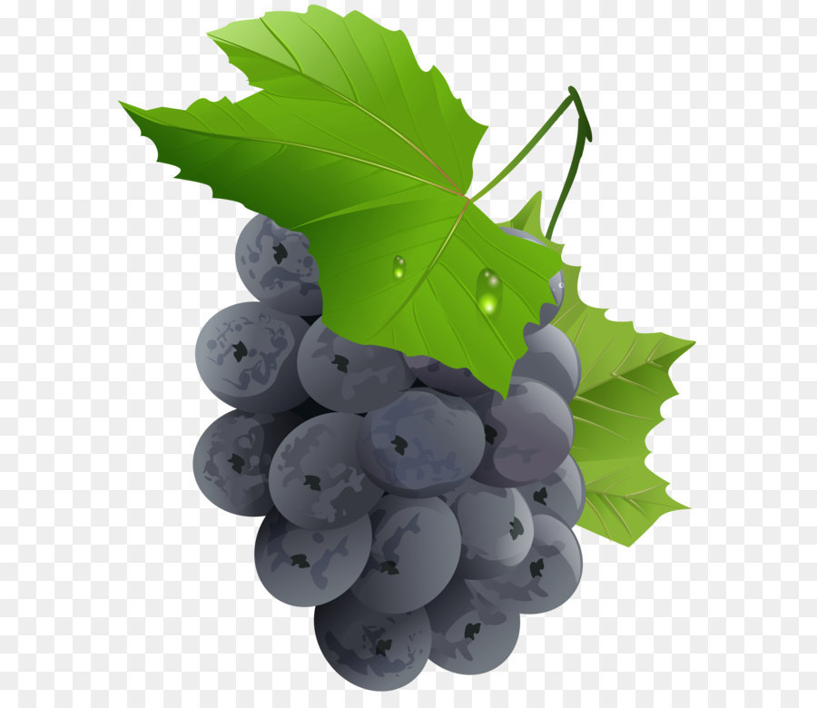Grape Fruit Vegetable - Grapes Transparent PNG Clip Art Image png download - 6780*8000 - Free Transparent Tomato Juice png Download.