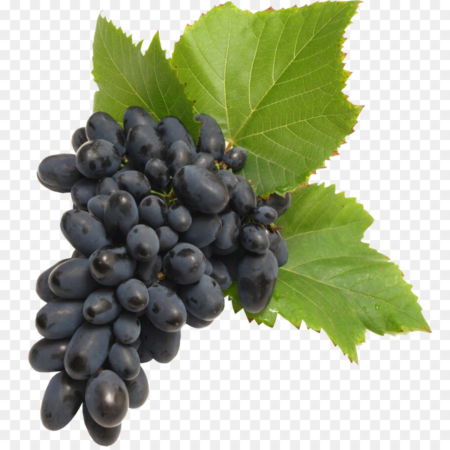 Common Grape Vine Winemaking - grape png download - 3095*3071 - Free Transparent Common Grape Vine png Download.