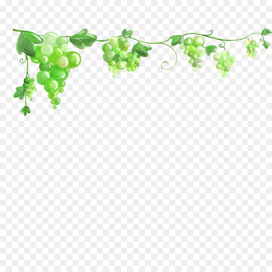 Common Grape Vine Grape leaves Wallpaper - grape png download - 2835*2835 - Free Transparent Common Grape Vine png Download.