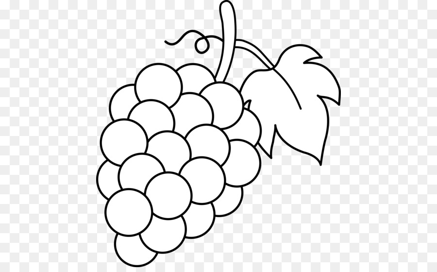 Common Grape Vine Wine Juice Clip art - Grapes Drawing png download - 504*550 - Free Transparent Common Grape Vine png Download.