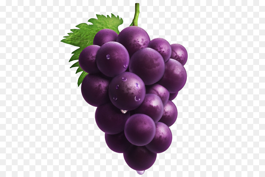 Grape - Hand-painted purple grapes png download - 600*600 - Free Transparent Grape png Download.