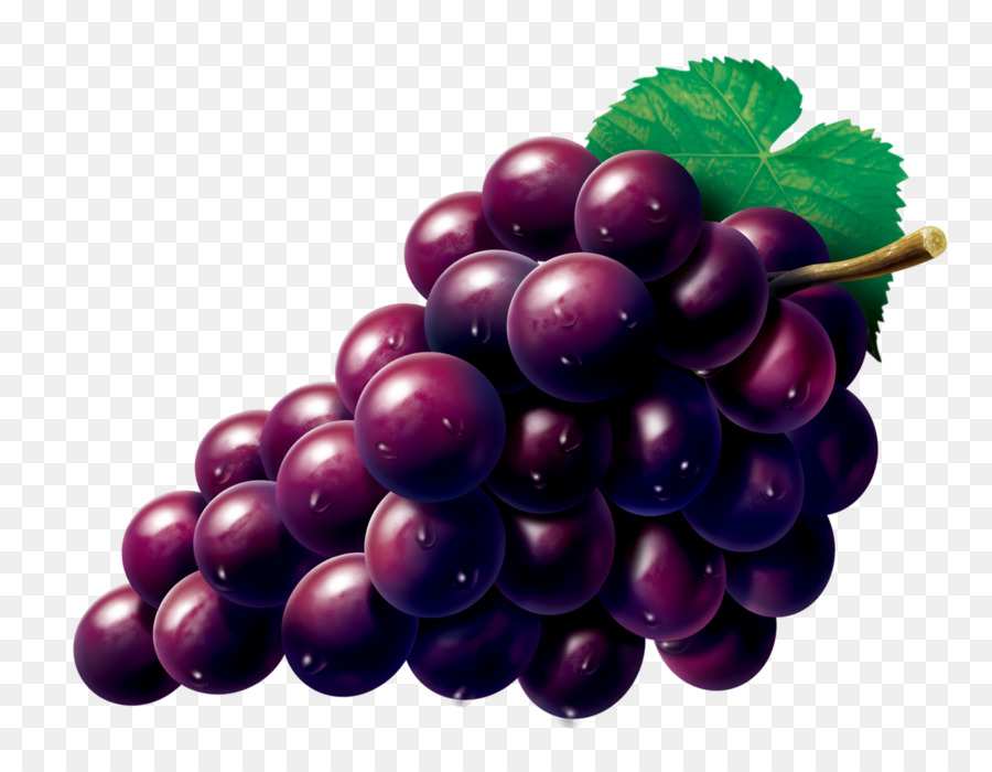 Grape Zante currant Seedless fruit - Vector grapes png download - 1160*892 - Free Transparent Grape png Download.