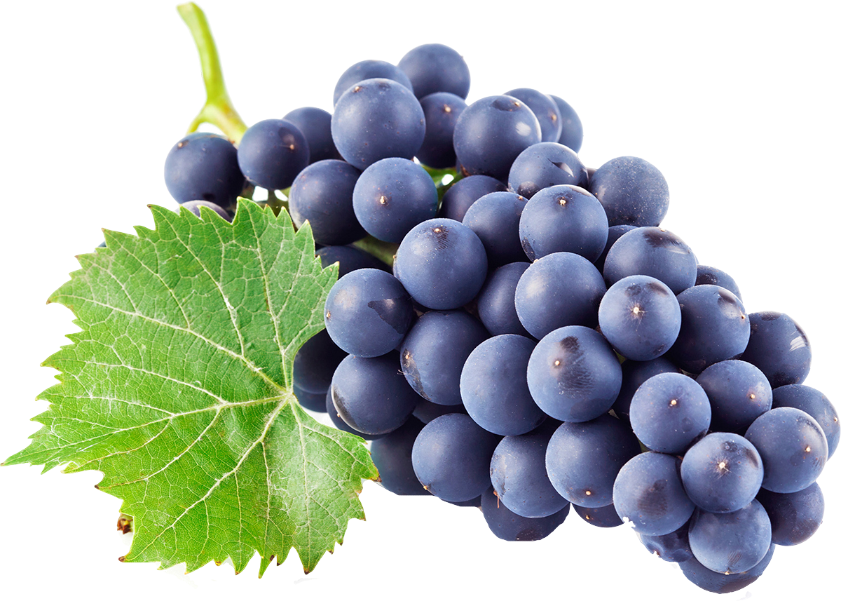 Kyoho Wine Juice Grape - Grapes png download - 1200*857 - Free ...