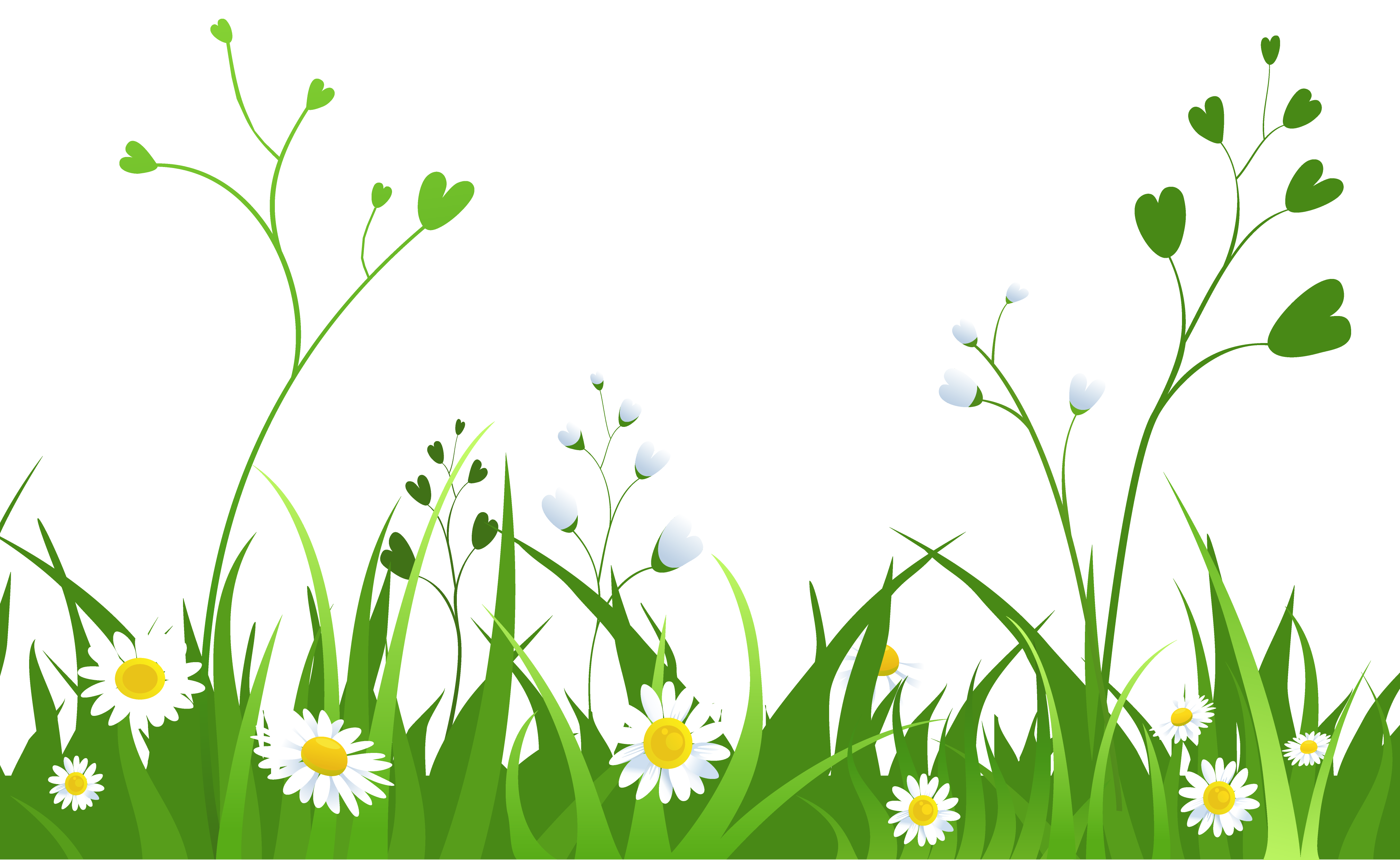 Flower Grasses Clip art - Cliparts Grass Border png download - 4039* ...