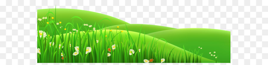 Meadow Euclidean vector Clip art - Transparent Flowers and Grass PNG Clipart png download - 6000*1968 - Free Transparent Meadow png Download.