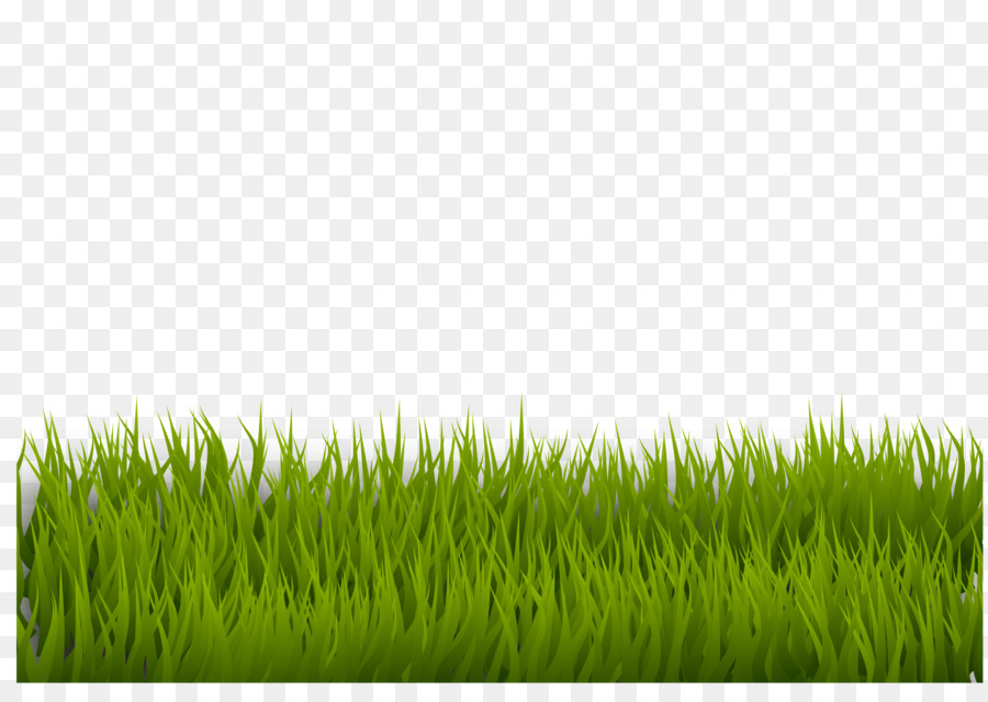 Lawn Desktop Wallpaper Clip art - grass png download - 2400*1697 - Free Transparent Lawn png Download.