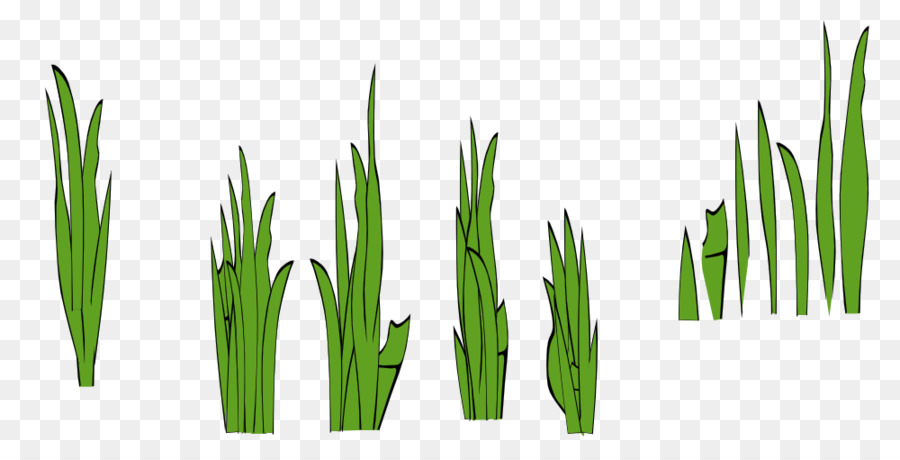 Lawn Clip art - clump of grass png download - 1000*500 - Free Transparent Lawn png Download.