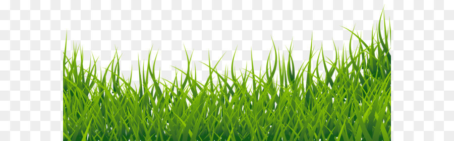 Thumbnail Clip art - Grass Clipart Picture png download - 2962*1274 - Free Transparent Easter Bunny png Download.