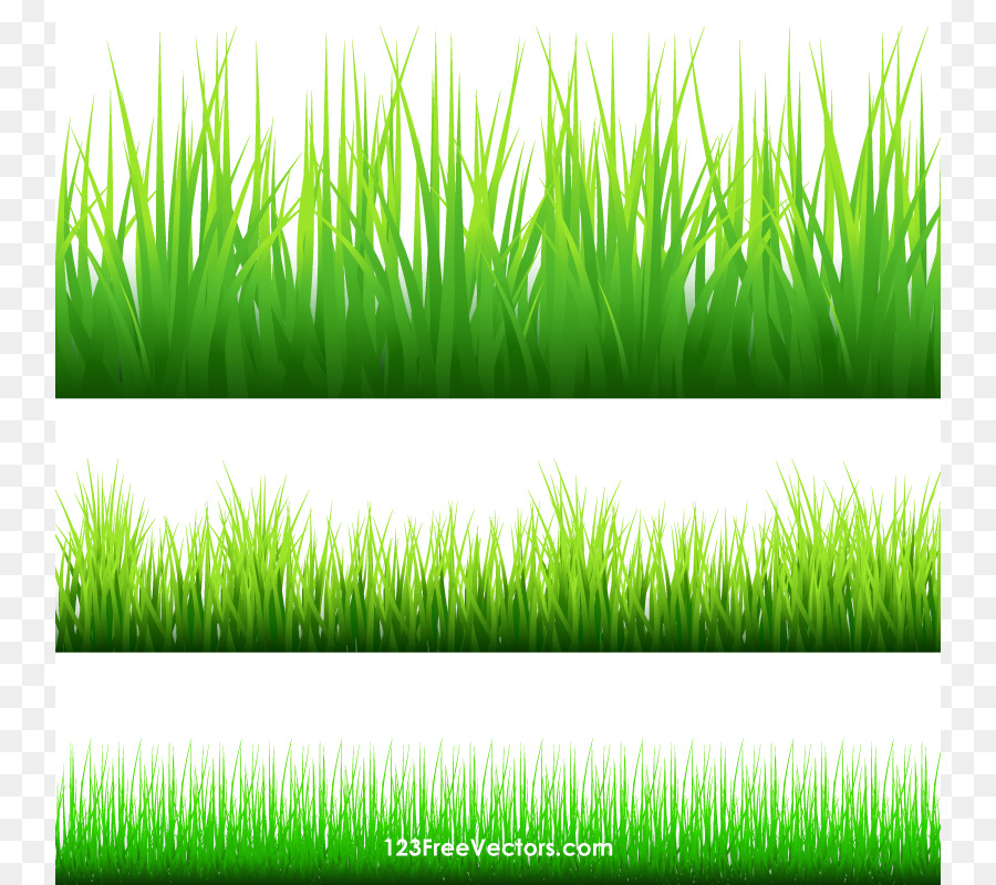Clip art - Cliparts Grass Border png download - 800*800 - Free Transparent Grasses png Download.