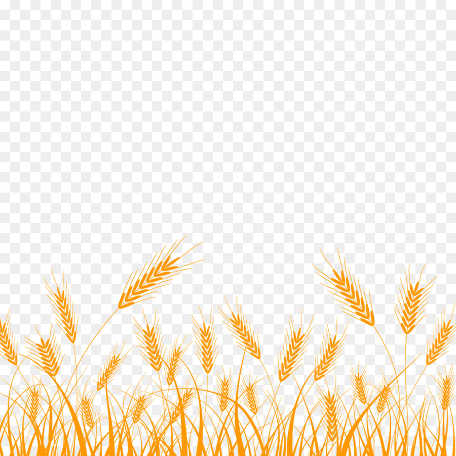 Wheat Silhouette Clip art - Rice png download - 2362*2362 - Free Transparent Wheat png Download.