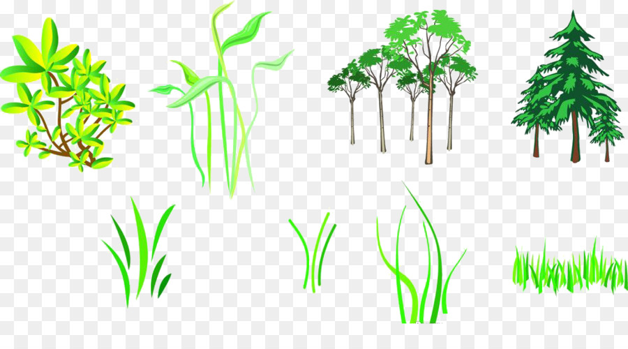 Branch Tree Silhouette - Grass png download - 1024*547 - Free Transparent Branch png Download.