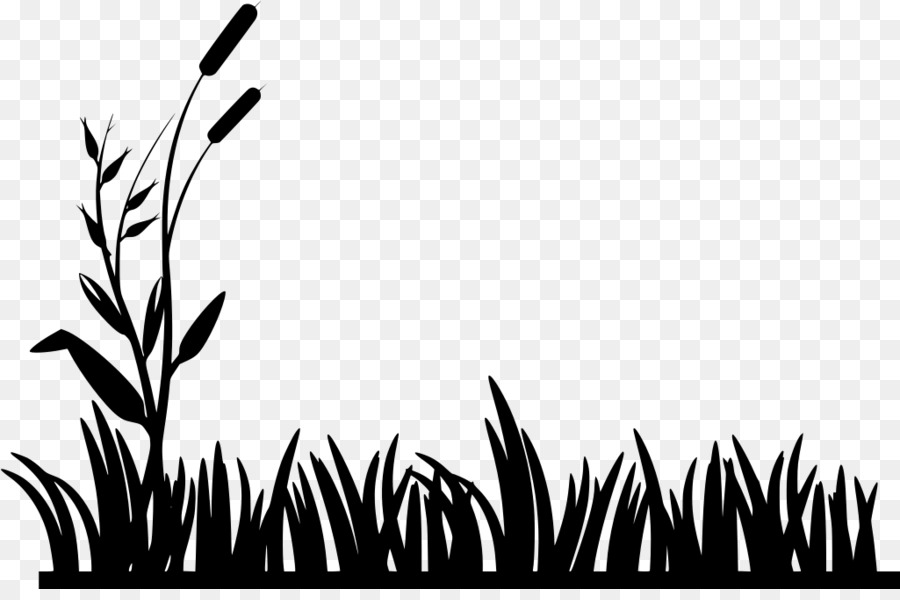 Grass Silhouette Clip art - fool png download - 1000*1000 - Free Transparent Grass png Download.