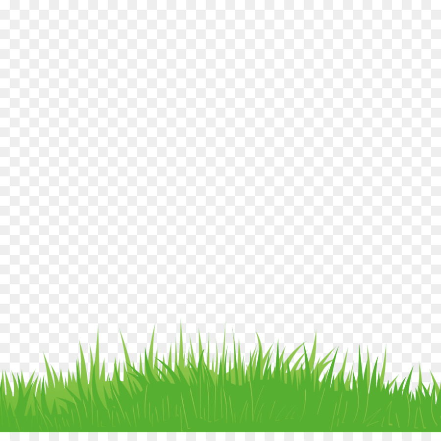 Euclidean vector Icon - Vector green grass decoration png download - 1500*1500 - Free Transparent Lawn png Download.