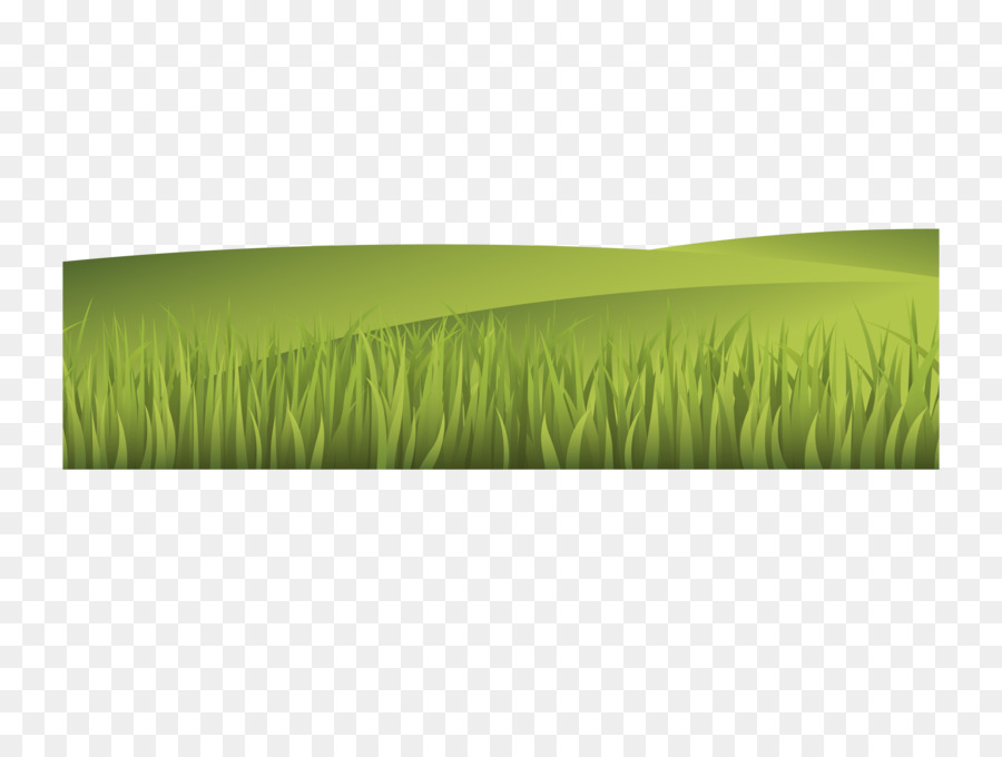 Illustration - Vector illustration grass landscape png download - 3335*2465 - Free Transparent Fukei png Download.