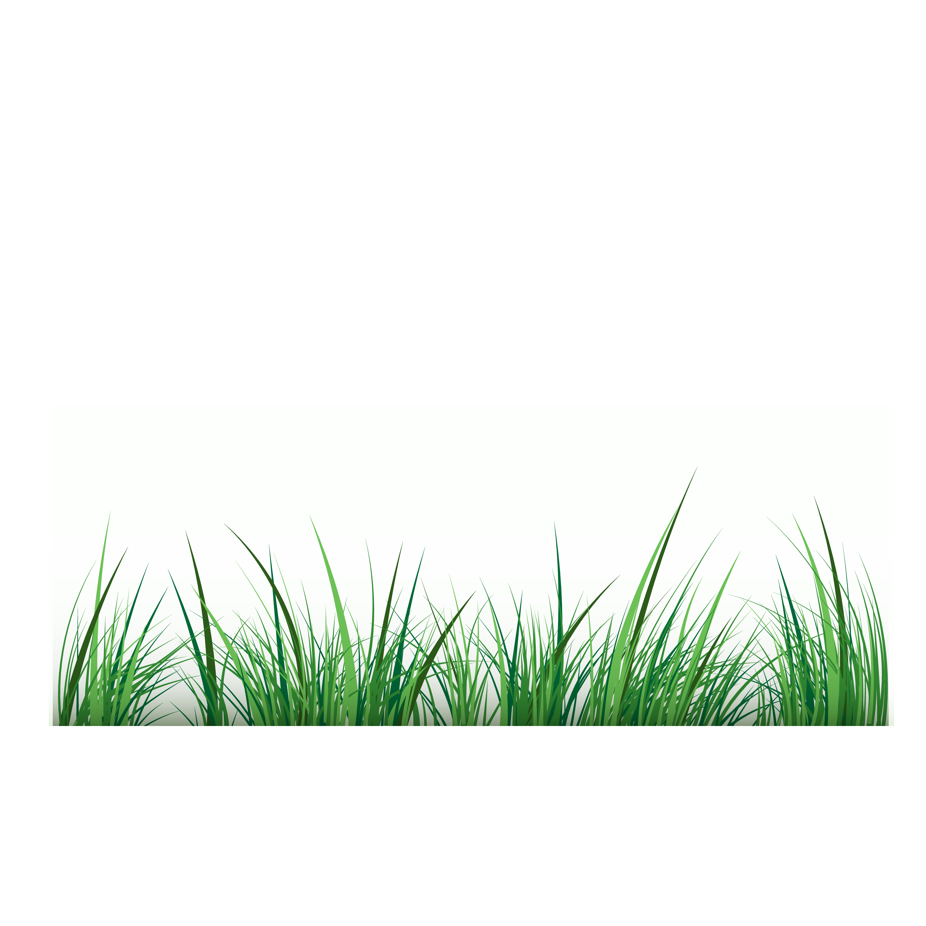 Grass Vector Png At Vectorifiedcom Collection Of Grass Vector Png Images